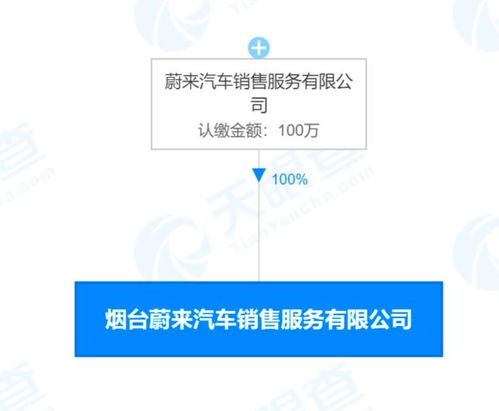 蔚來新公司業(yè)務(wù)版圖再擴(kuò)張 從高端電動車到網(wǎng)約車與品牌服務(wù)的戰(zhàn)略布局